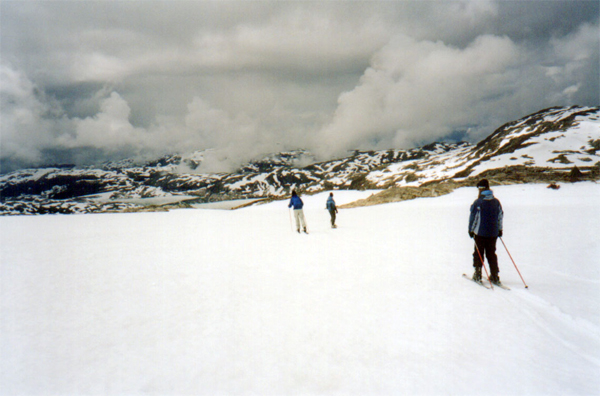 Fonna2004-05